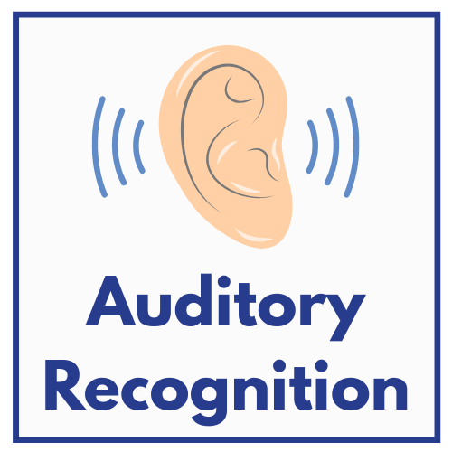 Auditory Recognition