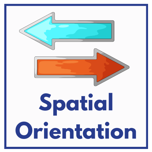 Spatial Orientation